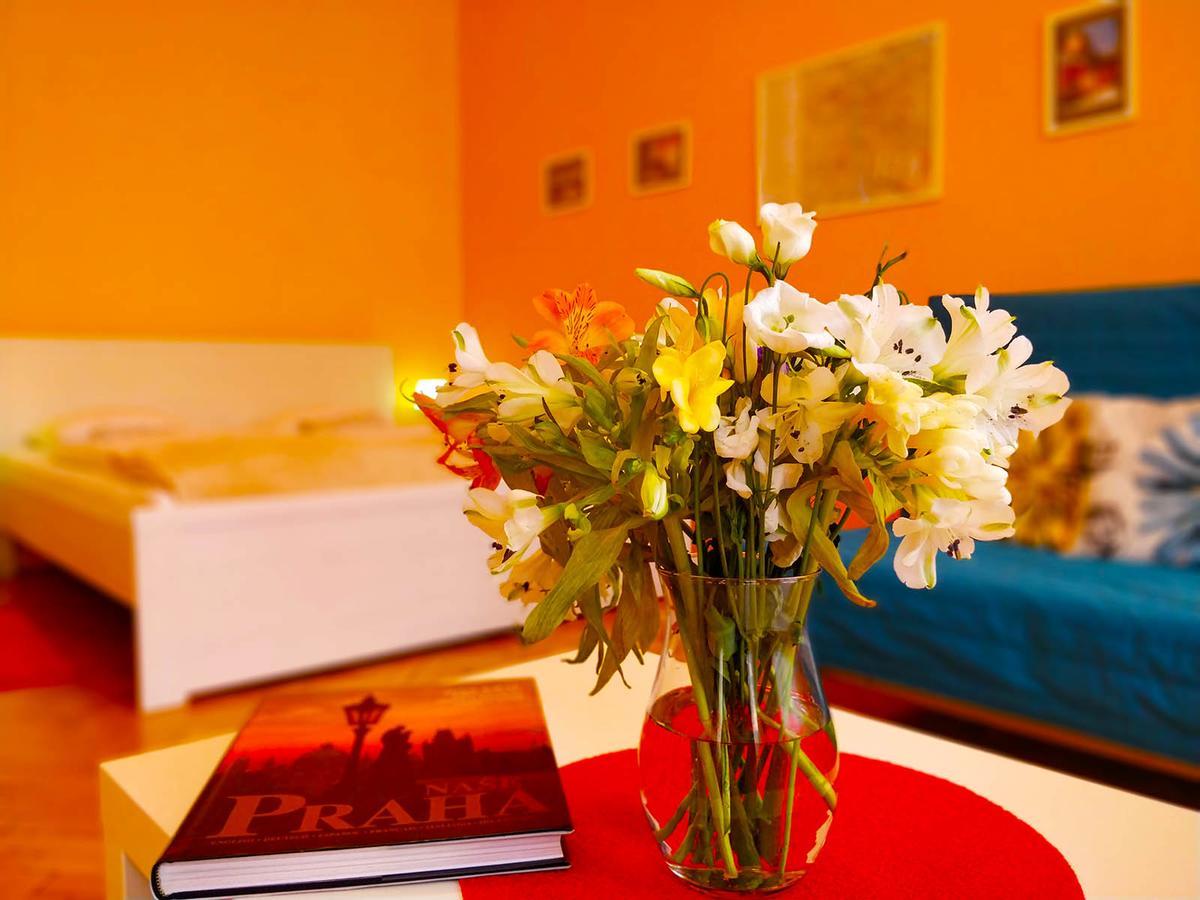 Lidicka Apartment プラハ エクステリア 写真