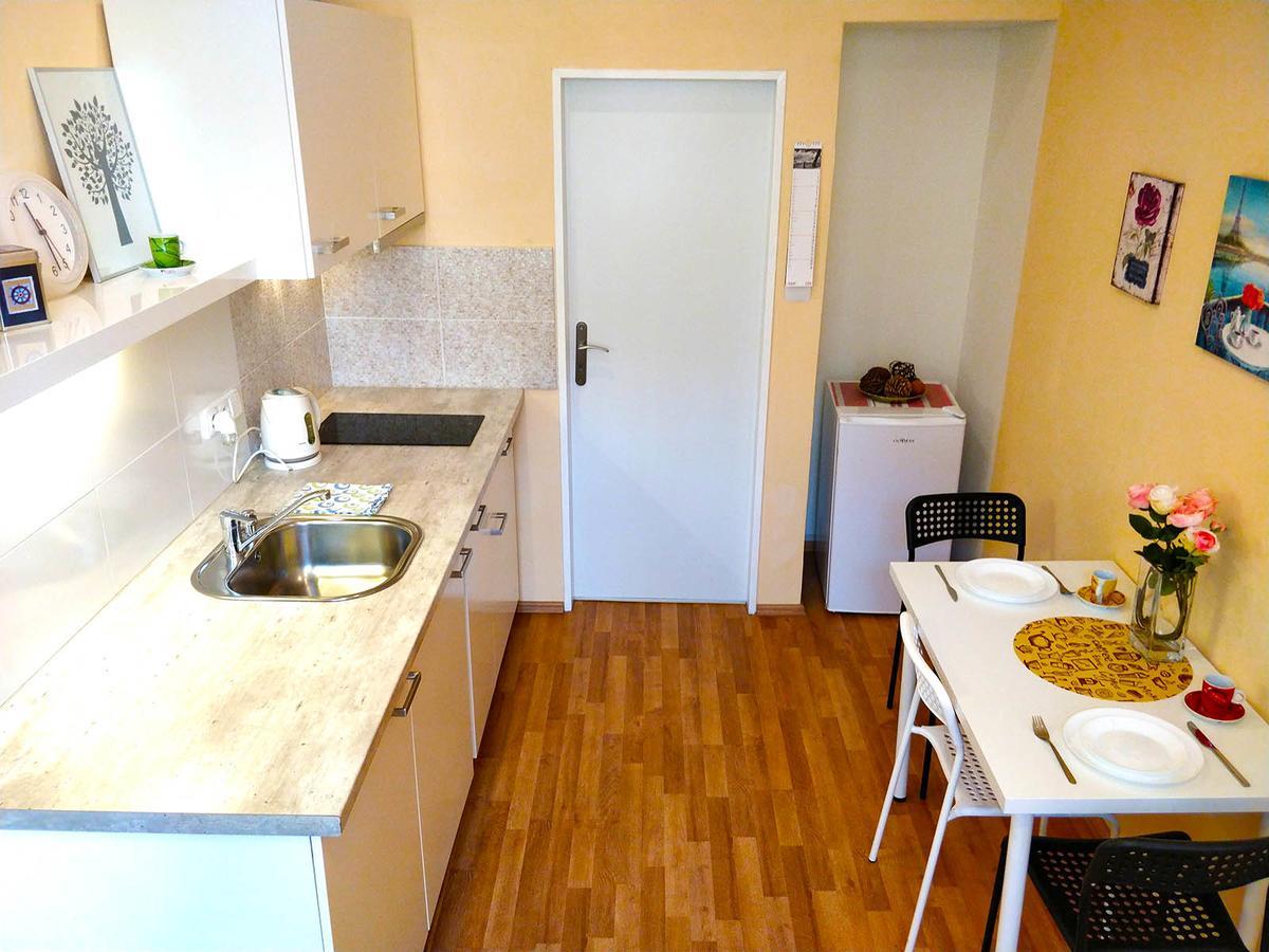 Lidicka Apartment プラハ エクステリア 写真