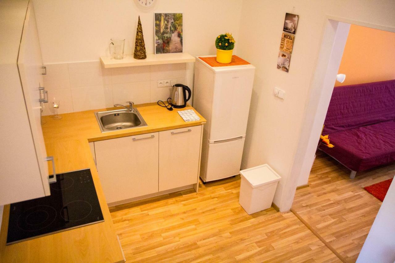 Lidicka Apartment プラハ エクステリア 写真